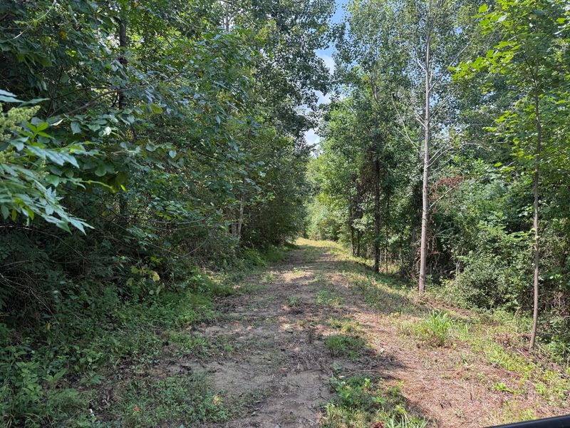 1480 Dark Hollow Road , Jackson, OH 45640 Photo 46