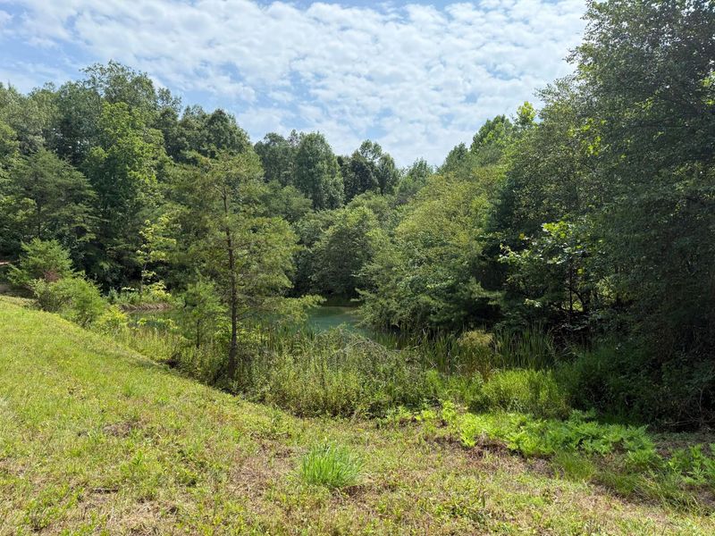 1480 Dark Hollow Road , Jackson, OH 45640 Photo 51