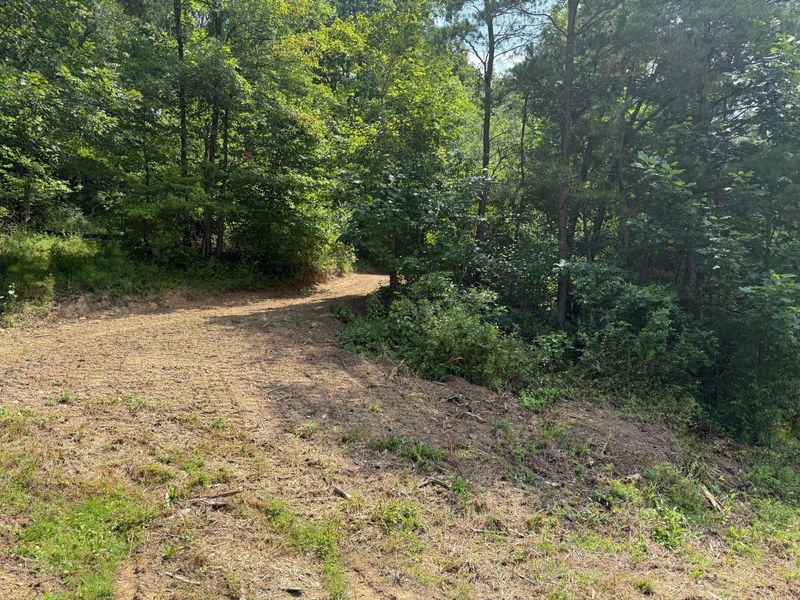 1480 Dark Hollow Road , Jackson, OH 45640 Photo 52