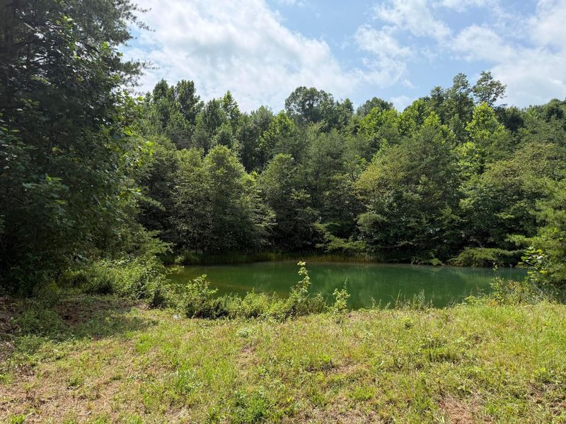 1480 Dark Hollow Road , Jackson, OH 45640 Photo 54