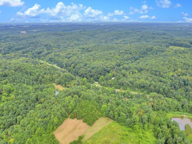 1480 Dark Hollow Road , Jackson, OH 45640 Photo 8