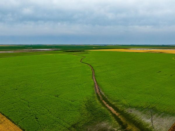 TBD 94 St NE, Bottineau, ND 58318