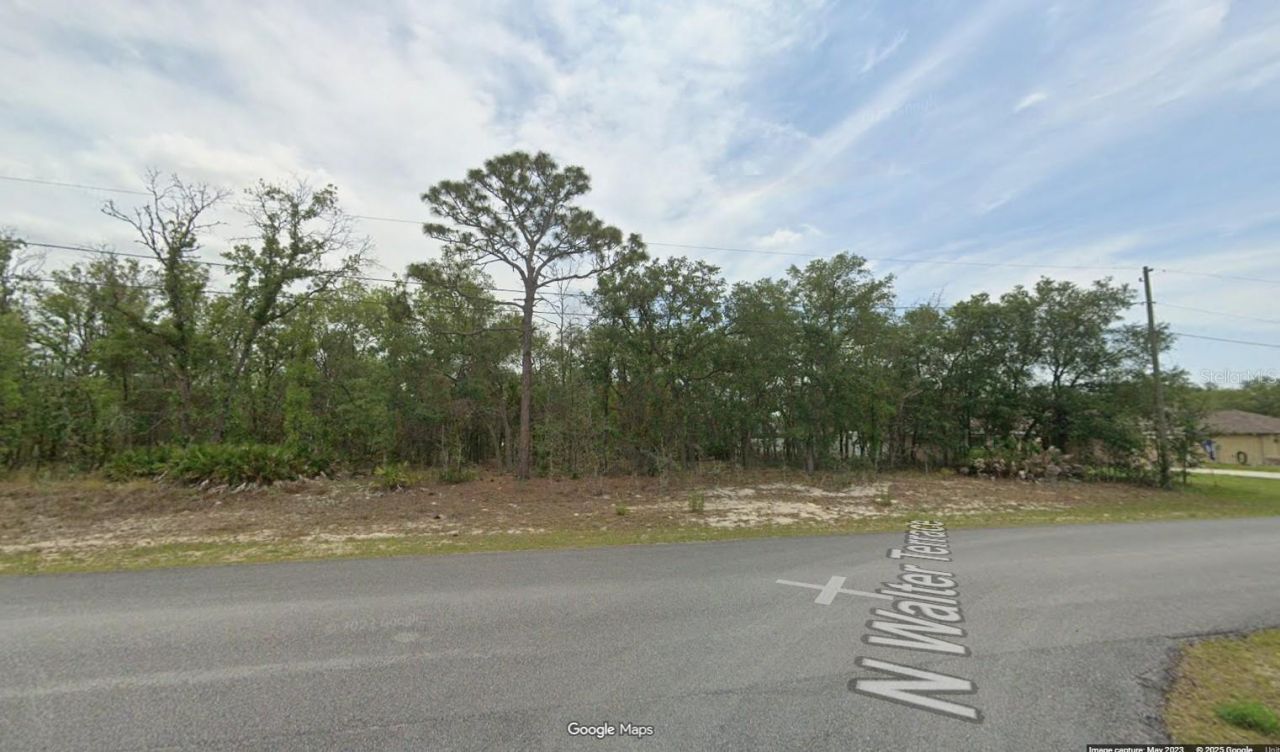 6251 N Walter Terrace, Citrus Springs, FL 34434 Main Photo