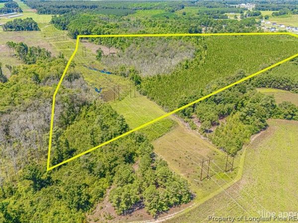 TBD Blue Springs Road, Red Springs, NC 28377