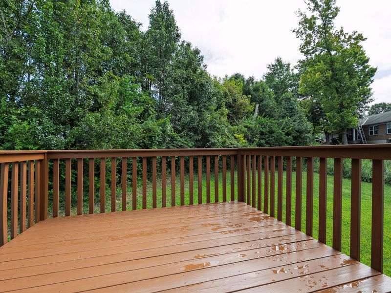 9827 Codyview Drive, Independence, KY 41051 Photo 28