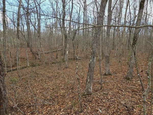 14 Pond Rd, Monterey, TN 38574