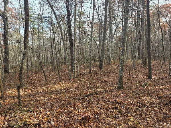 25 Down Place, Monterey, TN 38574