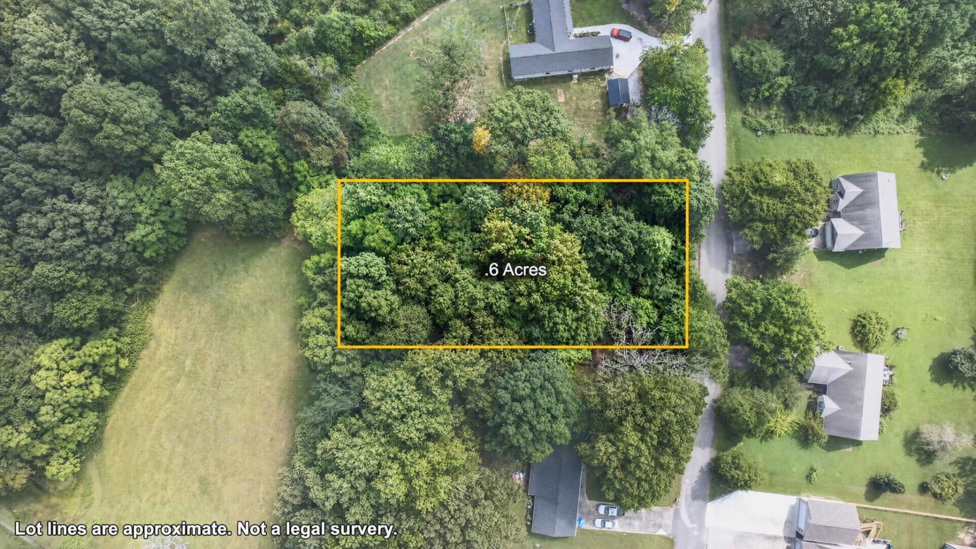 0 Bear Branch Road, Lot #4, Estill Springs, TN 37330 Main Photo