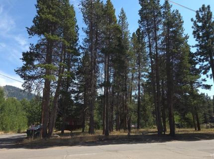 3716 Osgood Avenue, South Lake Tahoe, CA 96150 Photo