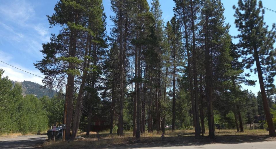 3716 Osgood Avenue, South Lake Tahoe, CA 96150 Photo