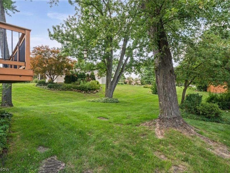 6217 Brookside Road, Independence, OH 44131 Photo 25