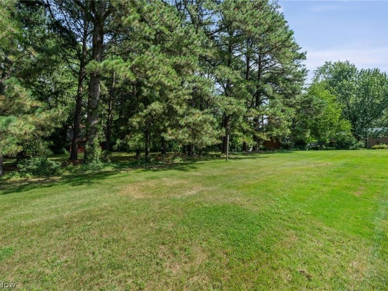 6217 Brookside Road, Independence, OH 44131 Photo 28