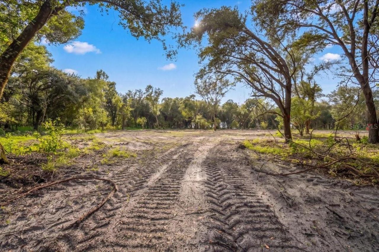 Gill Road , Myakka City, FL 34251 Photo