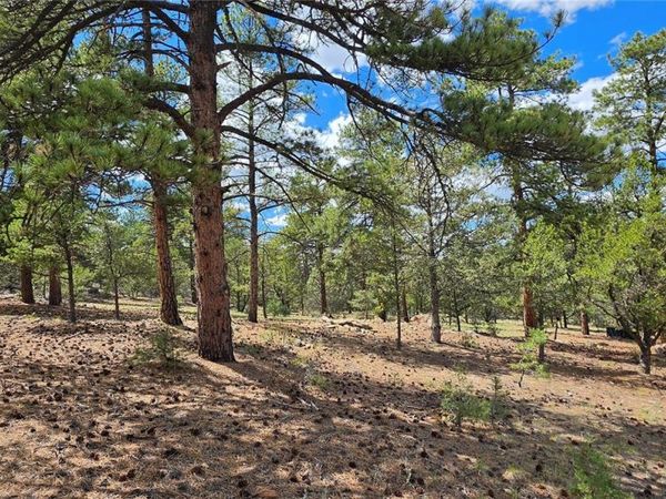 638 Keith Lane , Cotopaxi, CO 81223