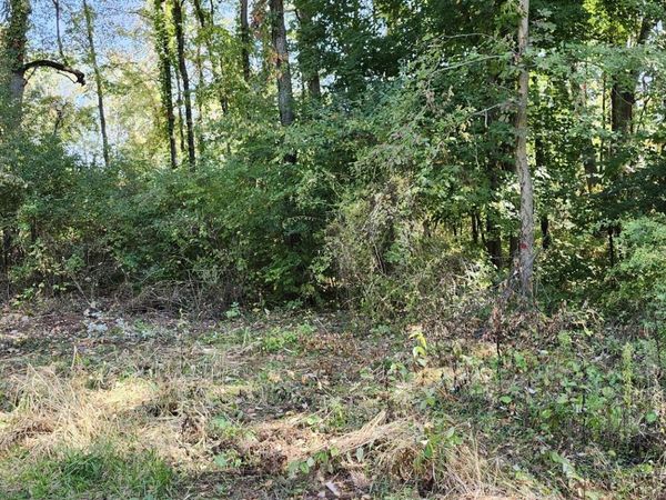 00000 N Shore Drive, Edwardsburg, MI 49112