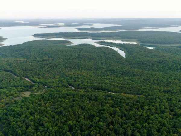 80 +/- acres MC 164 , Peel, AR 72668
