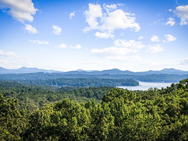 191 Green Ridge Road, Blue Ridge, GA 30513