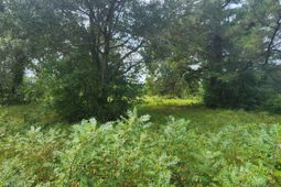 1246 Tennis Lane photo 4