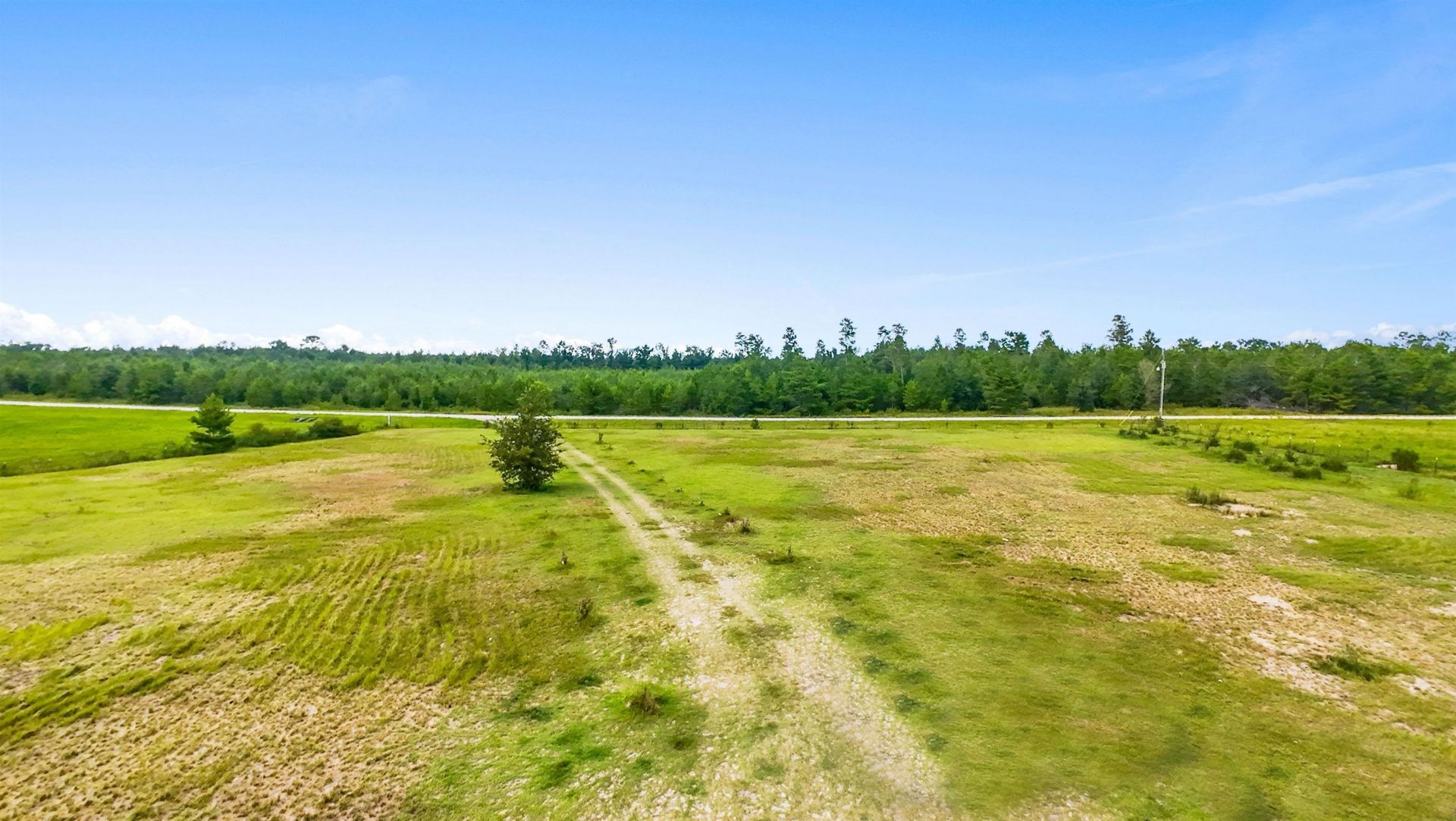 320 NE Loblolly Trail , Lee, FL 32059 Photo