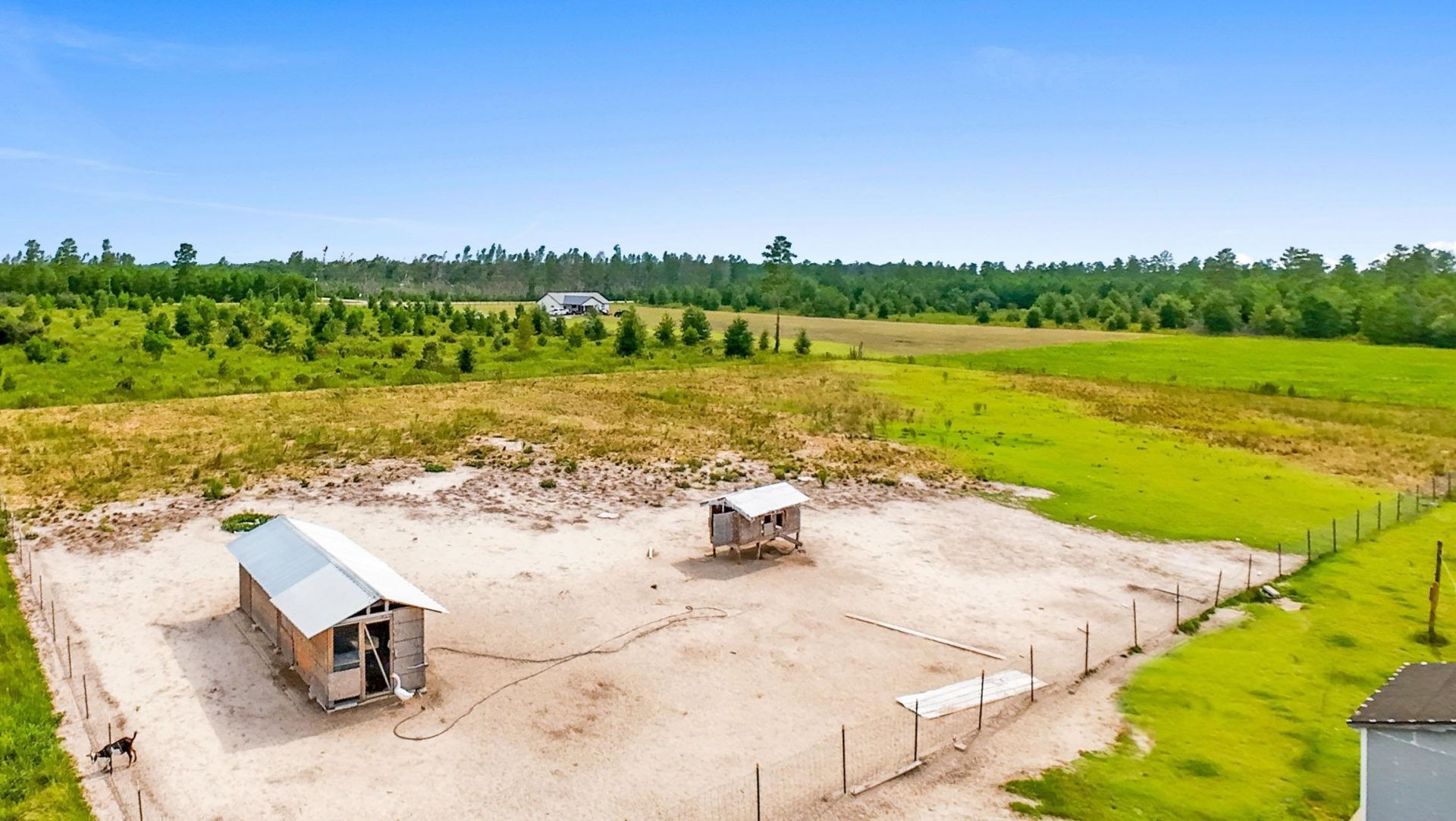 320 NE Loblolly Trail , Lee, FL 32059 Photo
