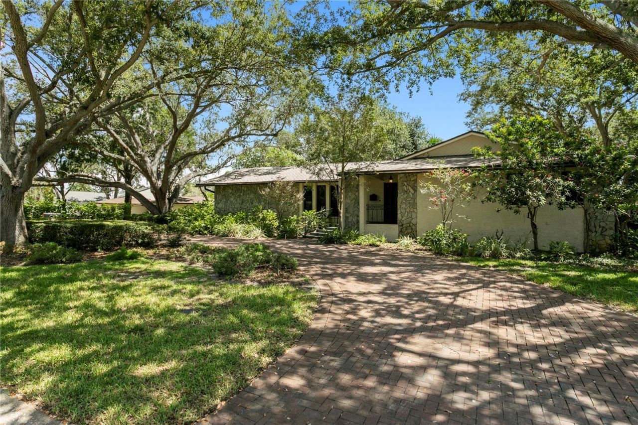 3101 Walnut Street Ne, Saint Petersburg, FL 33704 Photo