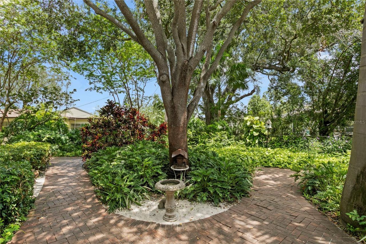 3101 Walnut Street Ne, Saint Petersburg, FL 33704 Photo