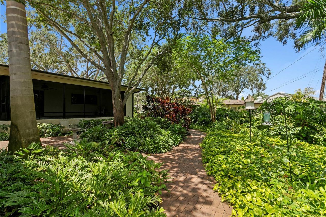 3101 Walnut Street Ne, Saint Petersburg, FL 33704 Photo
