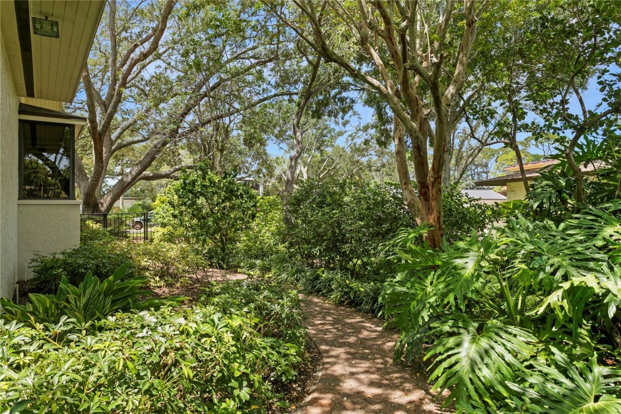 3101 Walnut Street Ne, Saint Petersburg, FL 33704 Photo