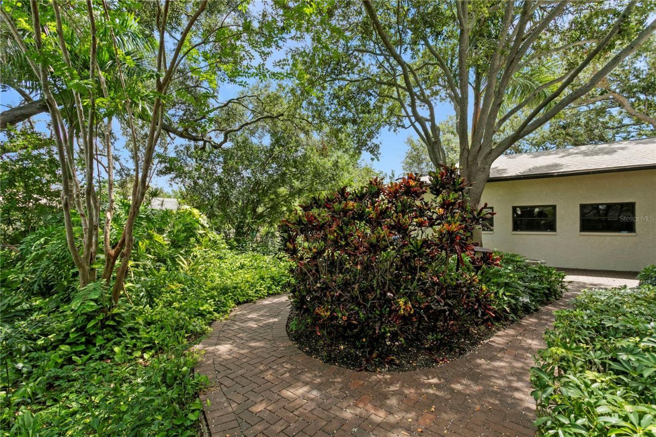 3101 Walnut Street Ne, Saint Petersburg, FL 33704 Photo