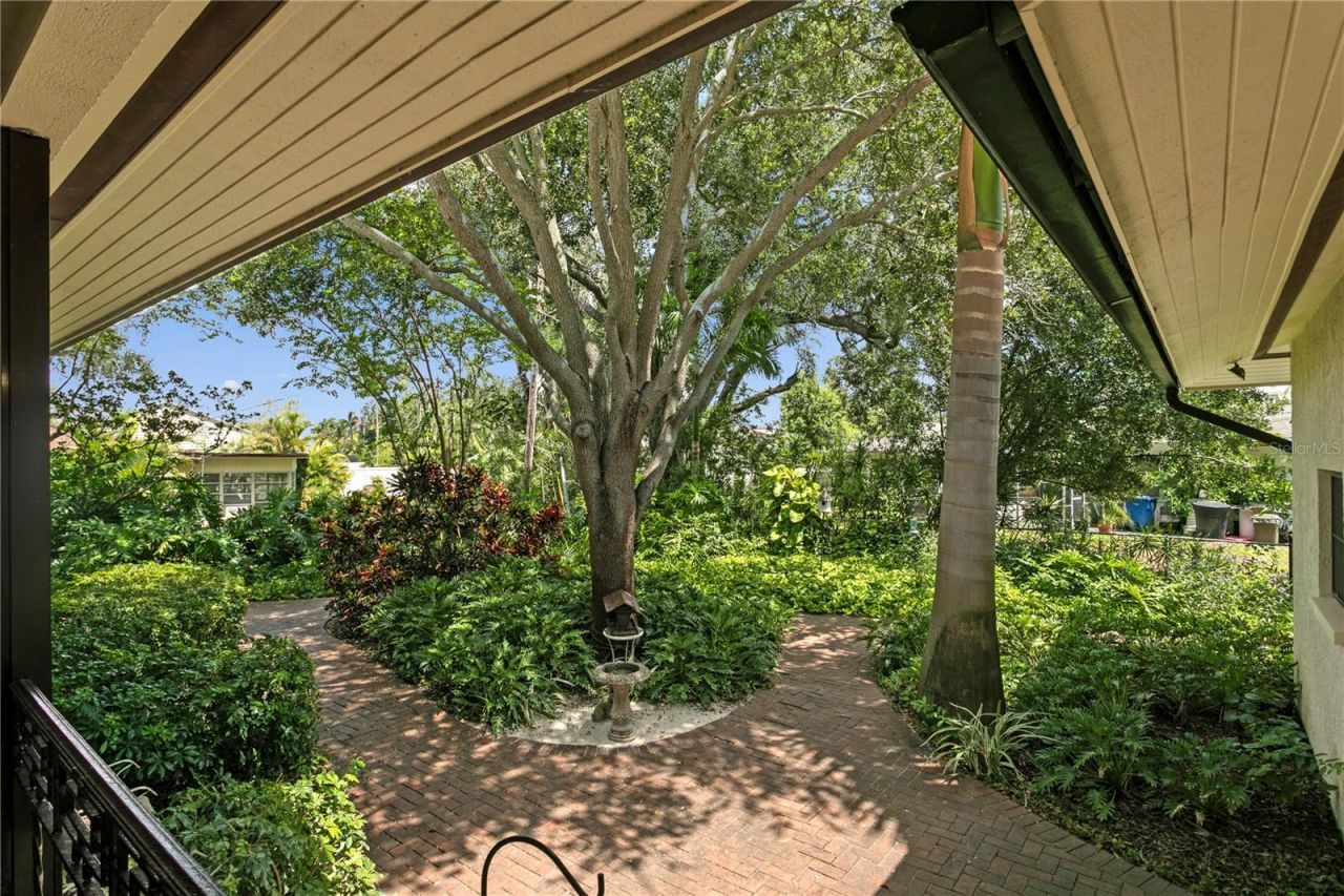 3101 Walnut Street Ne, Saint Petersburg, FL 33704 Photo