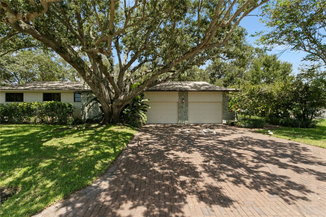 3101 Walnut Street Ne, Saint Petersburg, FL 33704 Photo