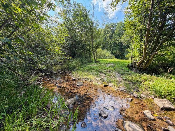 0000 Bachelors Avenue, Greenwood, WI 54437