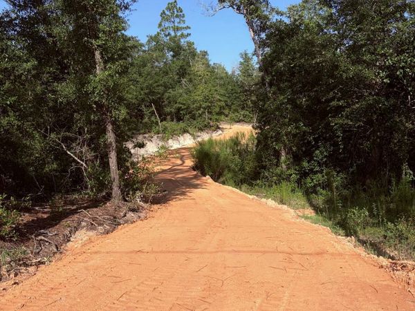 0000 Blue Springs Road , Youngstown, FL 32466