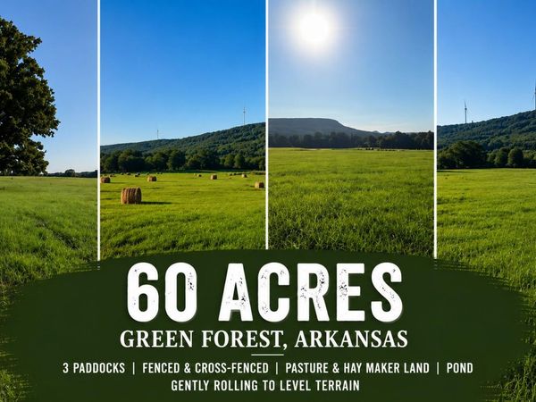 Tbd County Road 906 , Green Forest, AR 72638