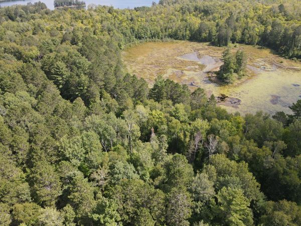 TBD Big Island Lake Trail , Marcell, MN 56657