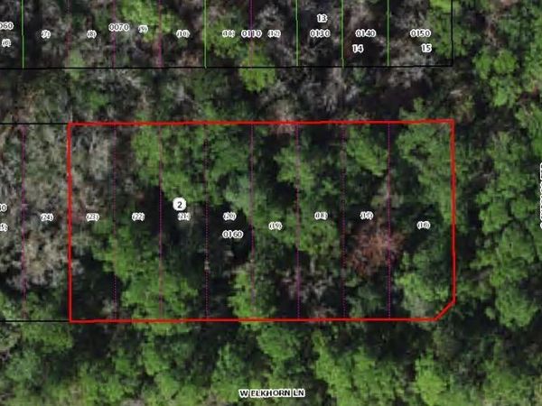 8733 W ELKHORN DRIVE , HOMOSASSA, FL 34448