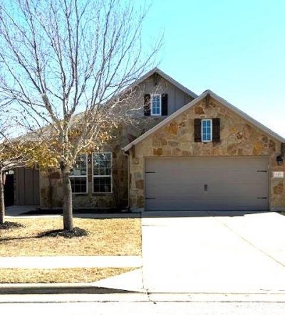 213 Peggy Dr, Liberty Hill, TX 78642 Main Photo