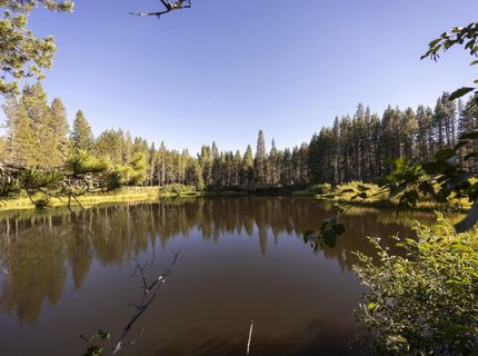 50741 Conifer Drive, Soda Springs, CA 95728 Photo