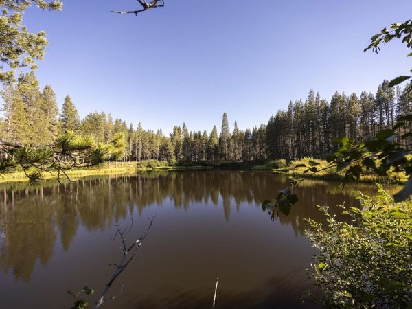 50741 Conifer Drive, Soda Springs, CA 95728