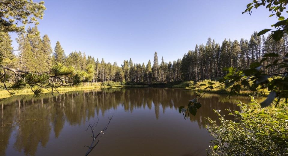 50741 Conifer Drive, Soda Springs, CA 95728 Photo