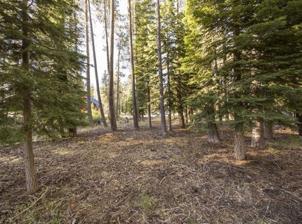 50741 Conifer Drive, Soda Springs, CA 95728 Photo
