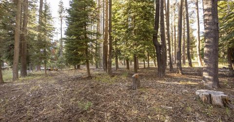 50741 Conifer Drive, Soda Springs, CA 95728 Photo