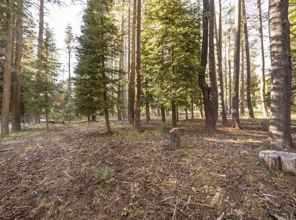 50741 Conifer Drive, Soda Springs, CA 95728 Photo