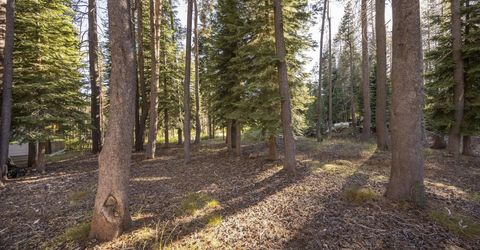 50741 Conifer Drive, Soda Springs, CA 95728 Photo