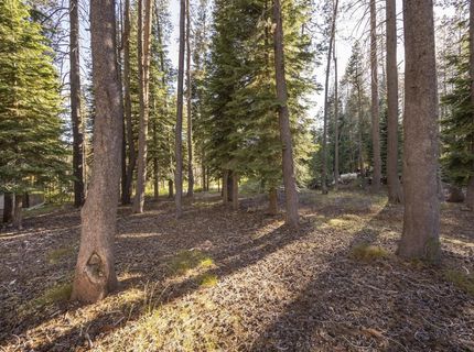 50741 Conifer Drive, Soda Springs, CA 95728 Photo