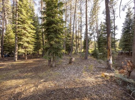 50741 Conifer Drive, Soda Springs, CA 95728 Photo