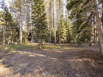 50741 Conifer Drive, Soda Springs, CA 95728 Photo