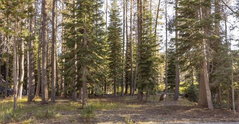 50741 Conifer Drive, Soda Springs, CA 95728 Photo