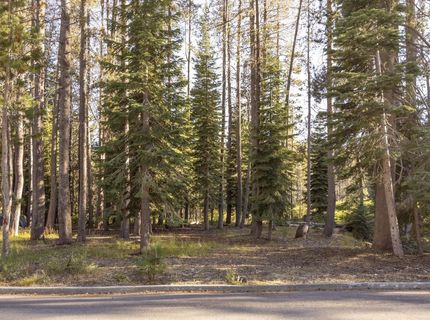 50741 Conifer Drive, Soda Springs, CA 95728 Photo