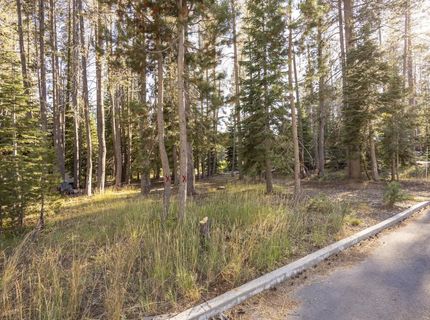 50741 Conifer Drive, Soda Springs, CA 95728 Photo